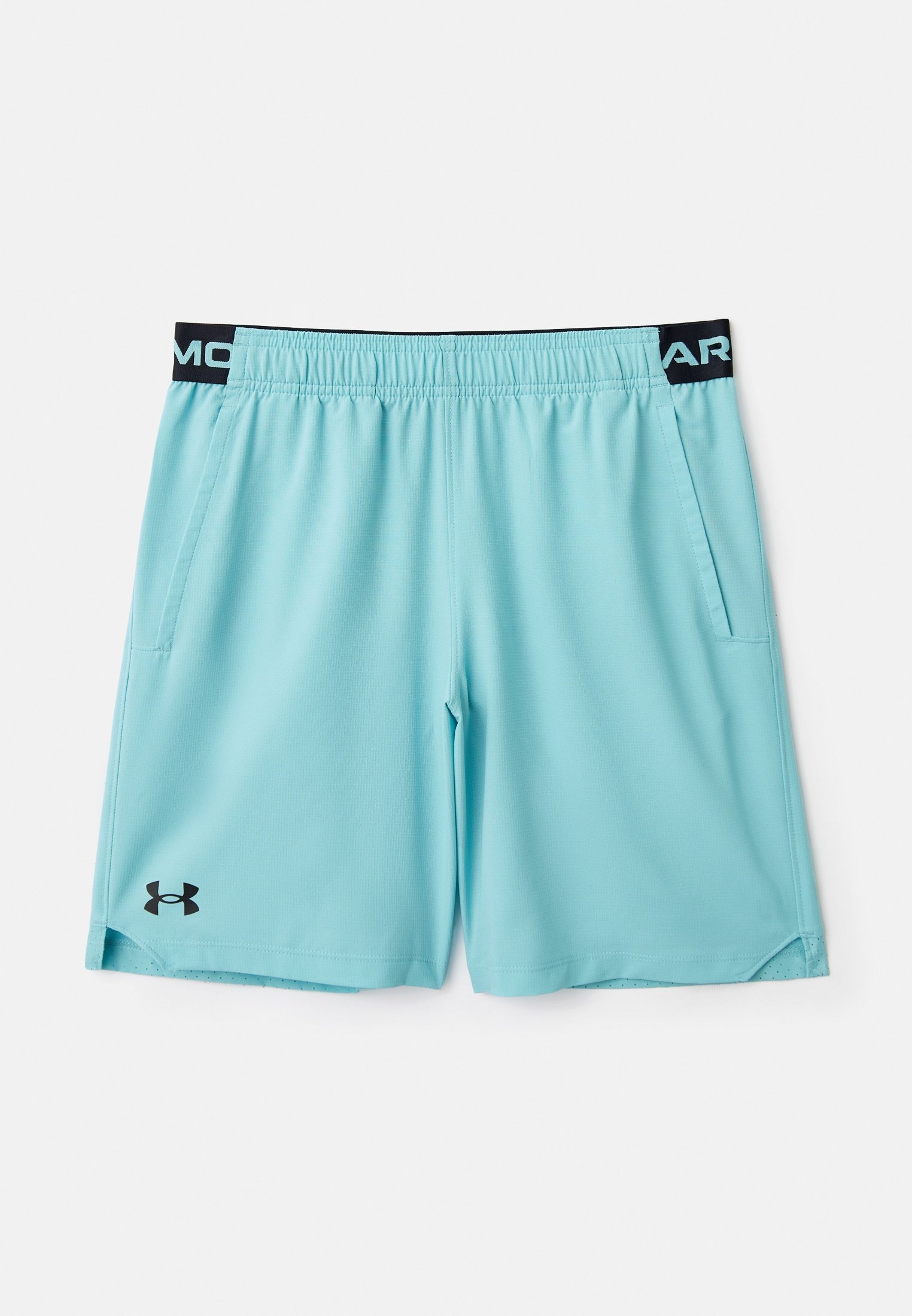 Шорты спортивные Under Armour