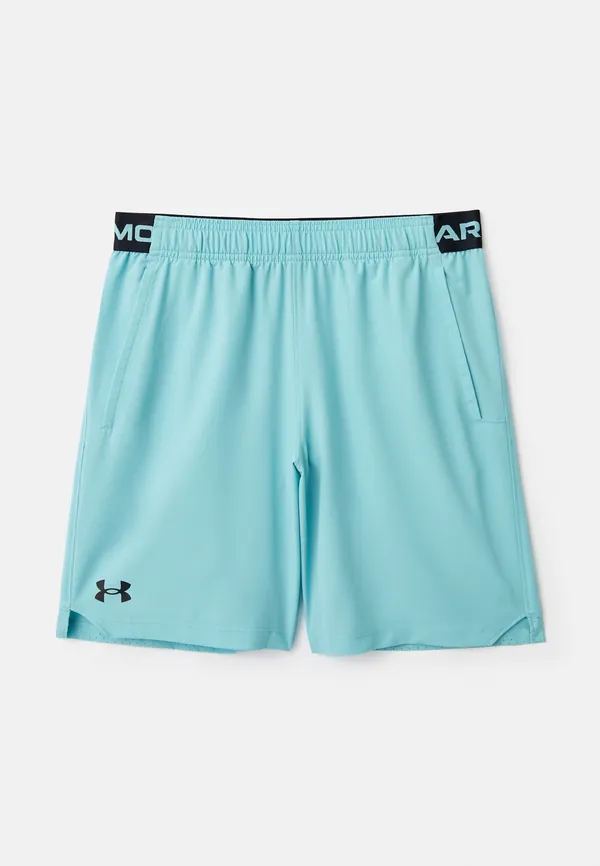 Шорты спортивные Under Armour