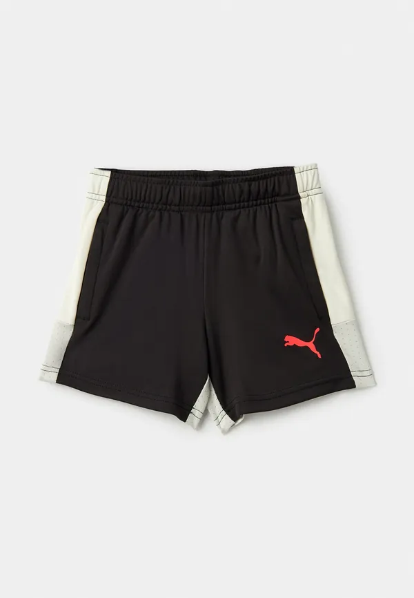 Шорты спортивные PUMA