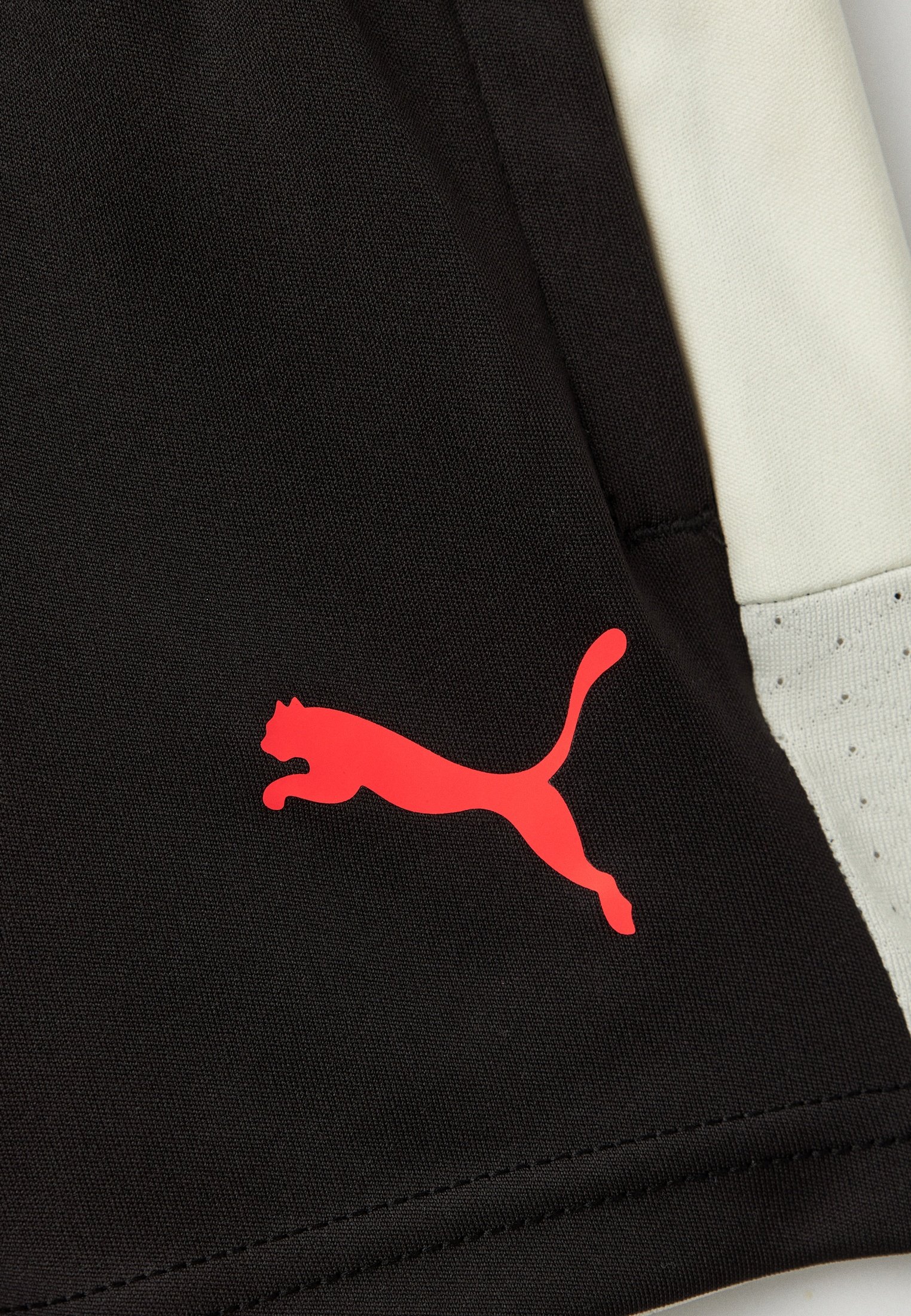 Шорты спортивные PUMA
